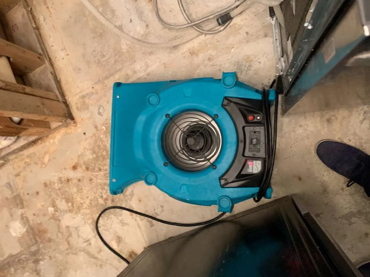 Air mover drying equipment for Mold Remediation & Removal in Montclair