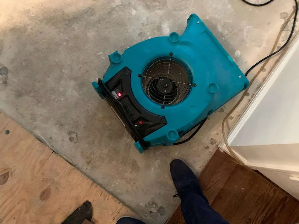 Air mover drying subfloor during Leak Detection & Repair in Montclair